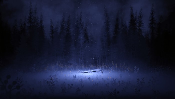 Illustration of a dark forest at night