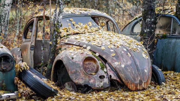 Abandoned Volkswagen Beetle covered in leaves