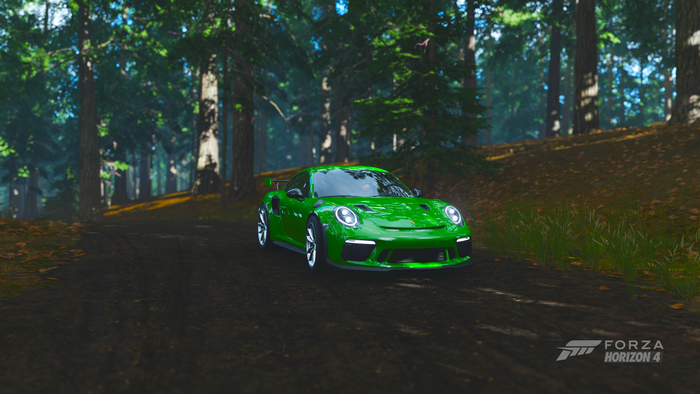 Green Porsche 911 GT3 RS from Forza Horizon 4 in a forest