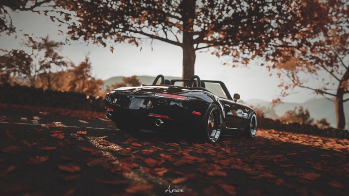 Black BMW Z8 convertible in Forza Horizon 4