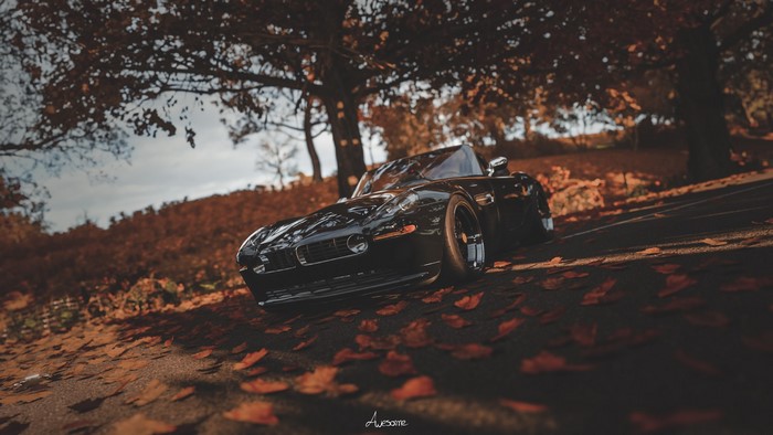 Black BMW Z8 in a Fall Forest