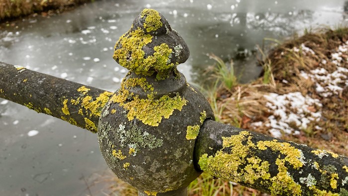 Railing covered in lichen by a frozen body of water