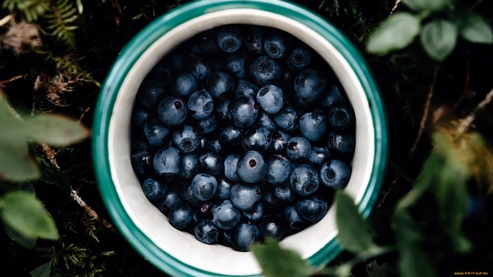Bowl of fresh blueberries in nature