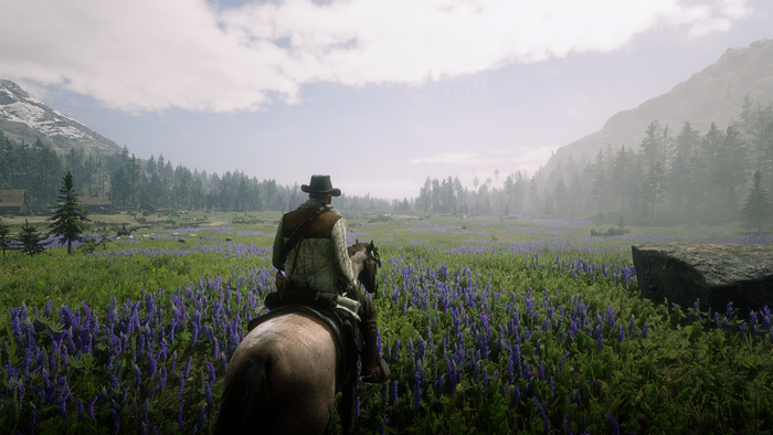 Man on horse in field of flowers with mountains