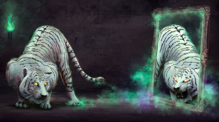 White Tiger and its Reflection in a Mirror