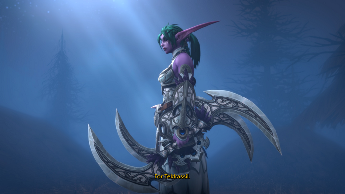 Night Elf Warrior with Twin Blades in World of Warcraft