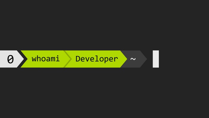 Terminal prompt with 'whoami Developer'