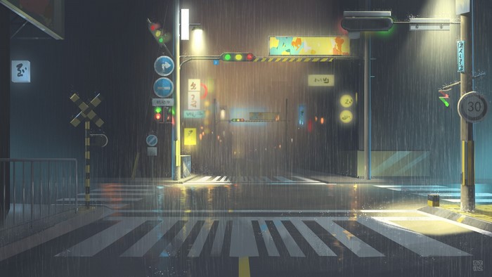 Nighttime rainy street with traffic lights and crosswalks