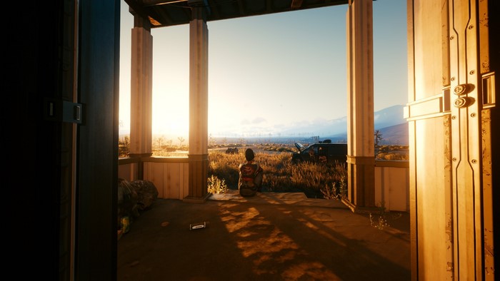 Cyberpunk 2077 screenshot of a person looking at a city