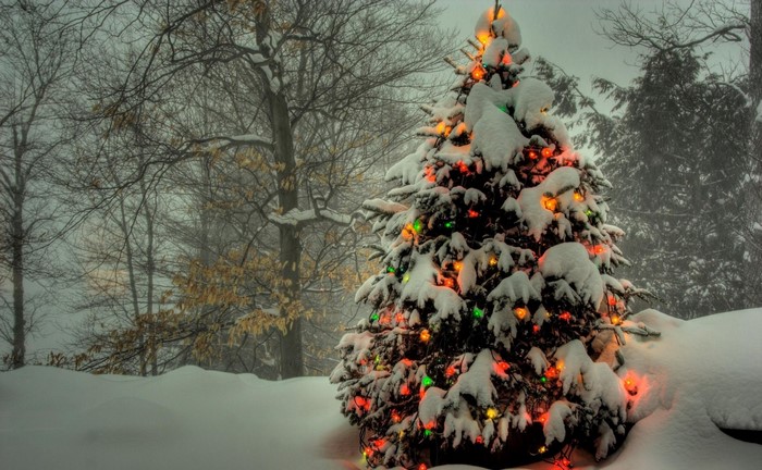 Decorated Christmas tree in the snow