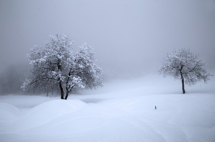 Winter landscape with snow-covered trees in Switzerland