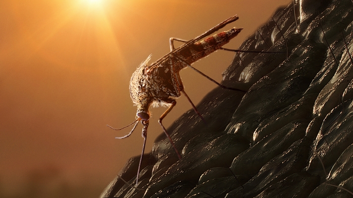 Mosquito in Jurassic World: Dominion
