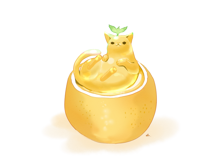 Yellow cat in a fruit