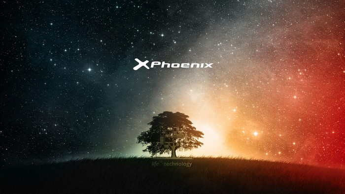 X Phoenix logo over a tree and starry sky