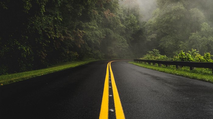 A wet road curves through a misty forest