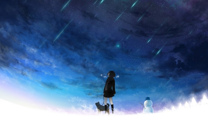 Anime girl and dog under shooting stars