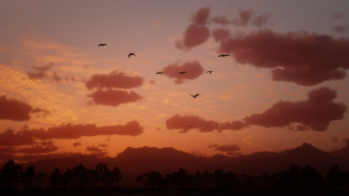 Red Dead Redemption 2 Sunset Over Forest Landscape
