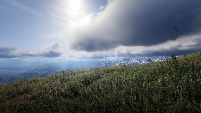 Red Dead Redemption 2 video game landscape