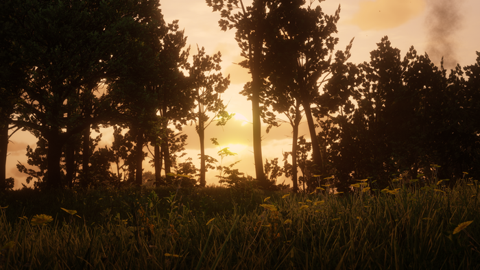 Sunset over a forest in Red Dead Redemption 2