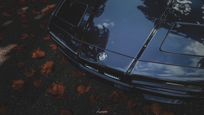 BMW 8 Series E31 with pop-up headlights on fallen leaves