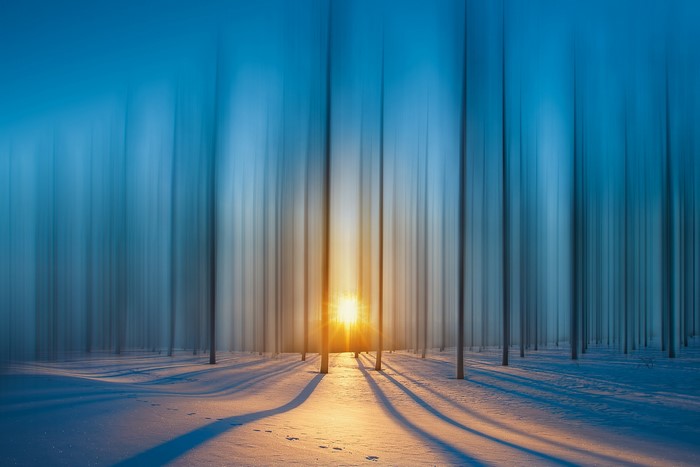 Winter forest with sunbeams and snow
