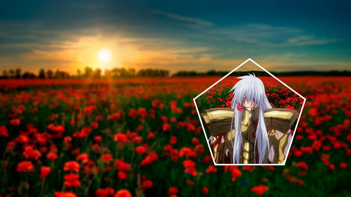 Anime character from Saint Seiya in a poppy field