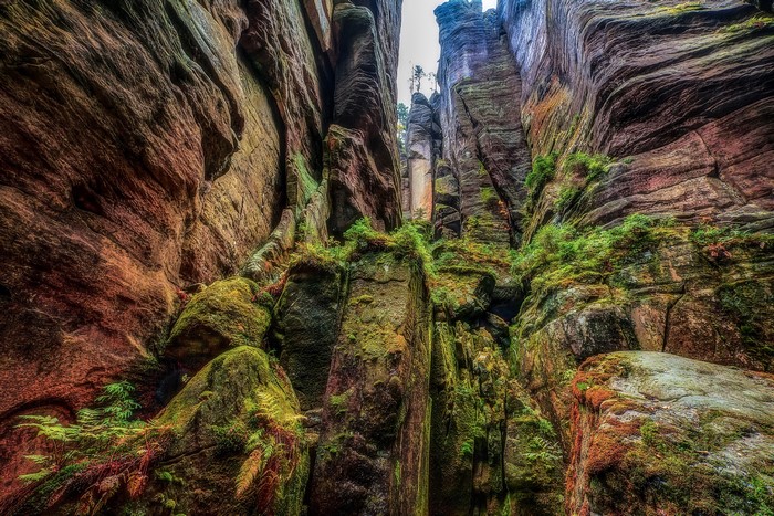 Mossy rock formations in a narrow canyon