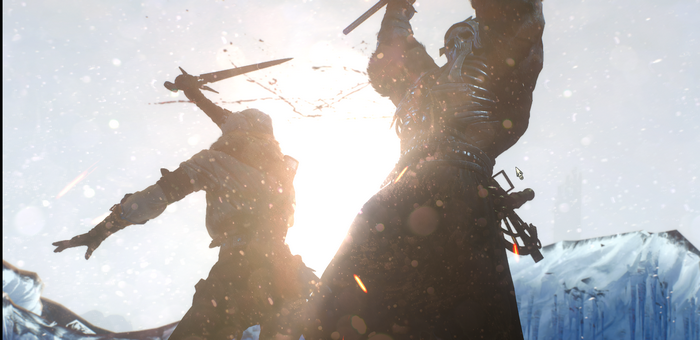Ciri and Geralt fighting in The Witcher 3: Wild Hunt