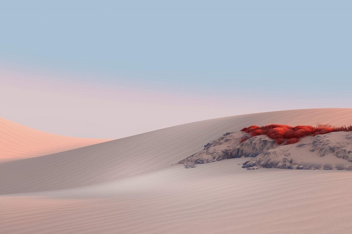 Desert landscape with red plants on rocks