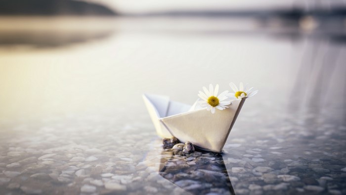 Paper boat with daisies on water