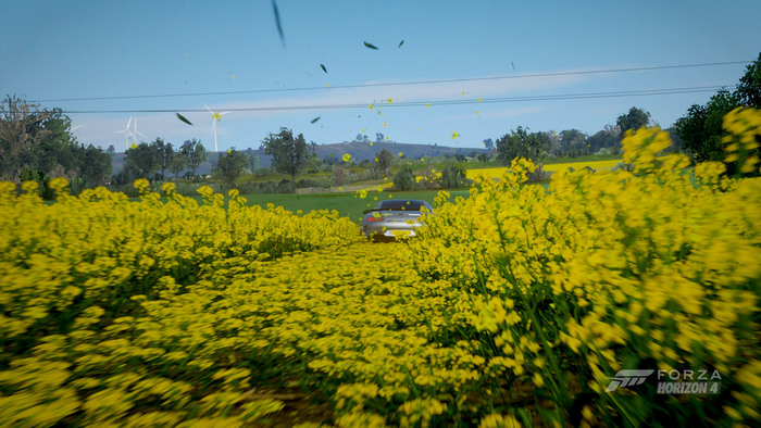 Forza Horizon 4 car driving through yellow flowers
