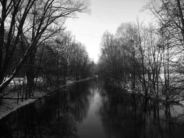 4K monochrome winter river with trees and snow