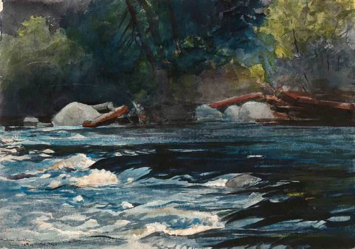 River with Logs and Trees by Winslow Homer