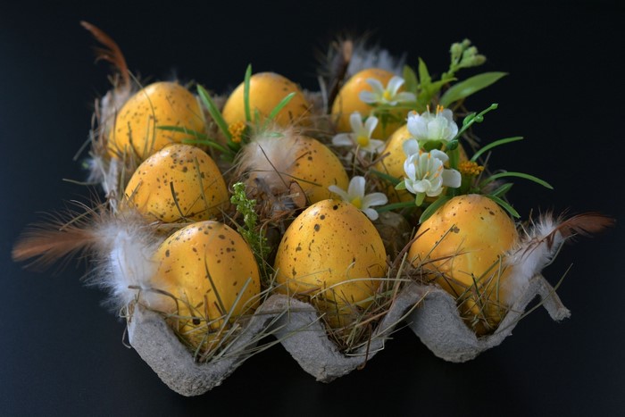 Easter eggs in a nest with feathers and flowers