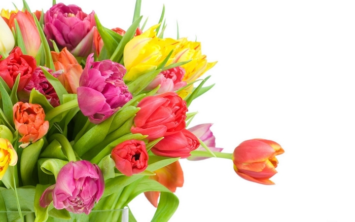 Colorful Tulip Bouquet