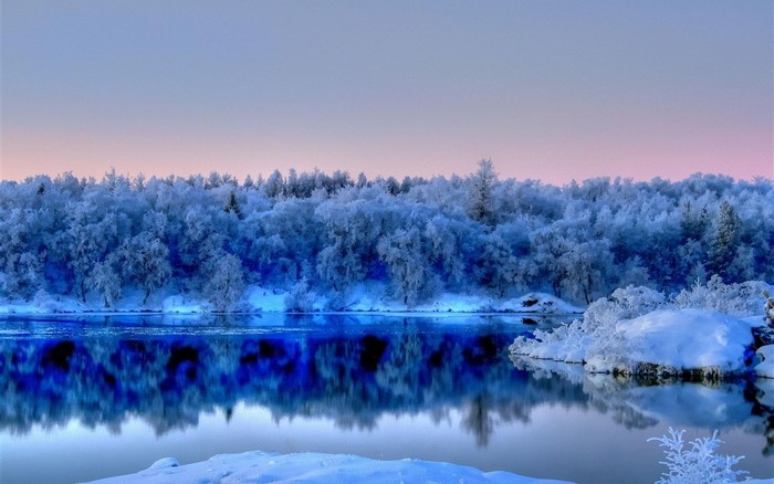 Snow-covered forest reflected in a calm lake during winter