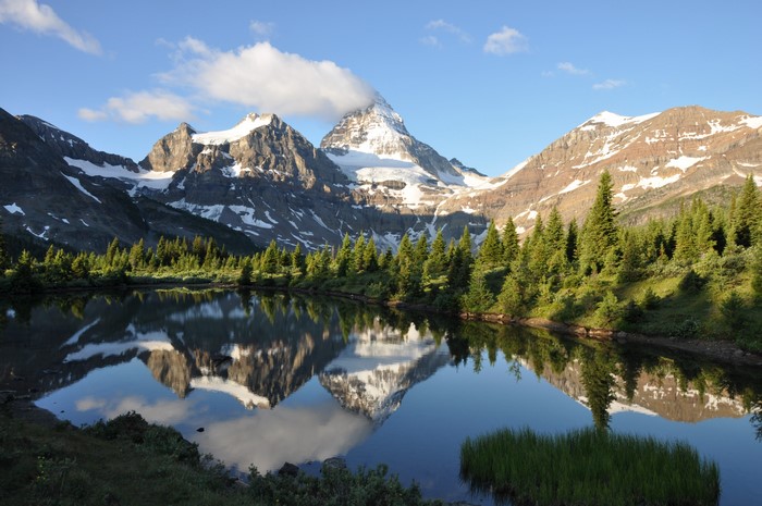 Lake reflection of snow-capped mountains and pine forest