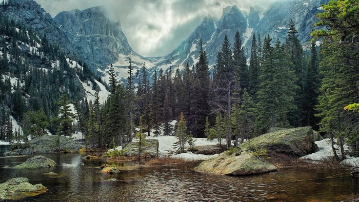 Rocky Mountains with Pine Forest and Lake