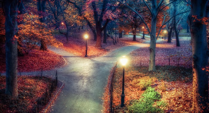 Park path with street lights and fallen leaves in the evening