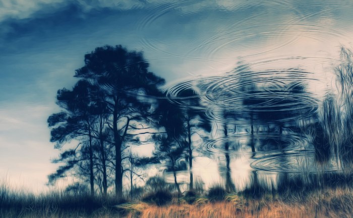 Trees reflected in rippling water under a cloudy sky