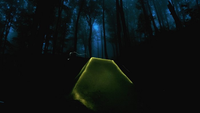 Tent glowing in a misty forest at dusk