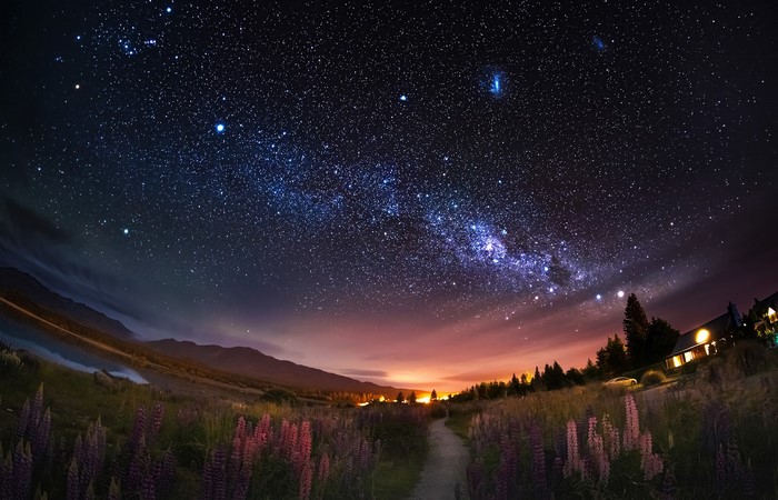 Milky Way over lupine field and mountains at dusk
