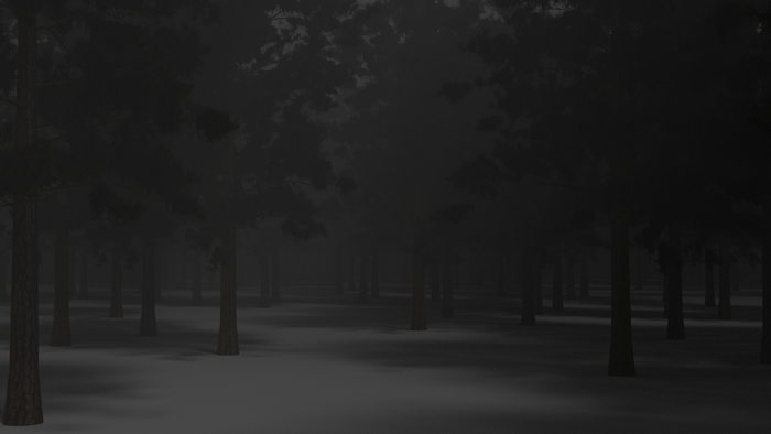 Dark forest with mist and pine trees at night