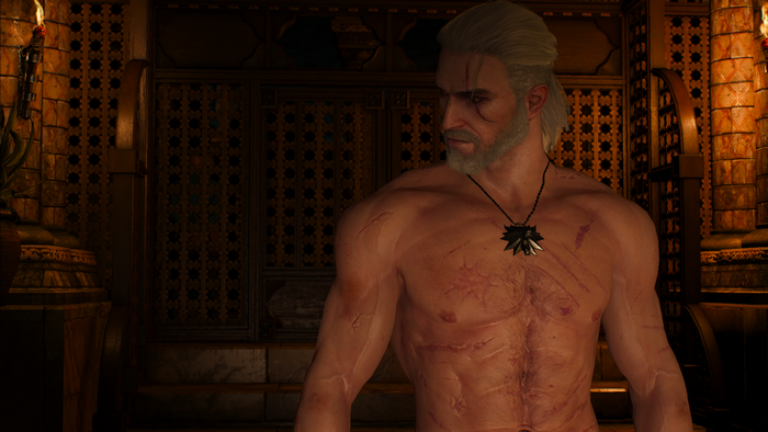 Geralt of Rivia from The Witcher 3: Wild Hunt