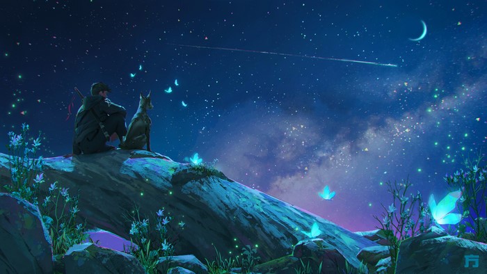 Man and dog watching starry night with butterflies