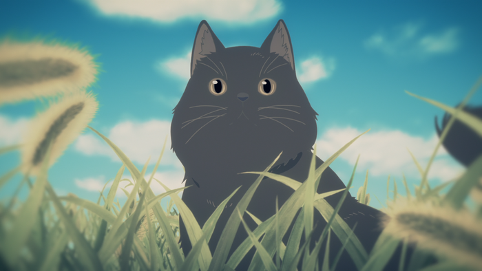 Black cat in a grassy field under a clear sky