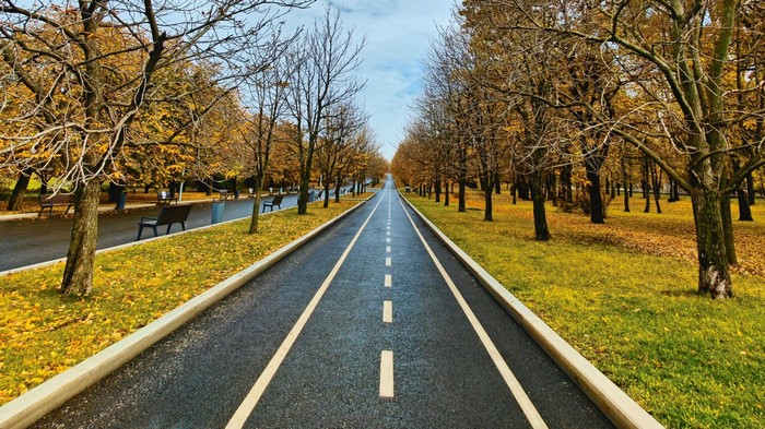 Park pathway with autumn trees and fallen leaves