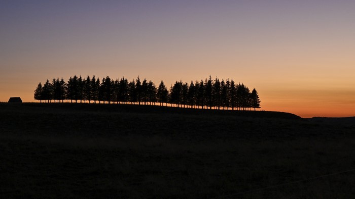 Silhouettes of trees and a small building at sunset
