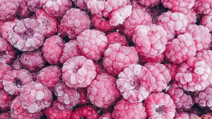 Close-up of frozen raspberries covered in frost