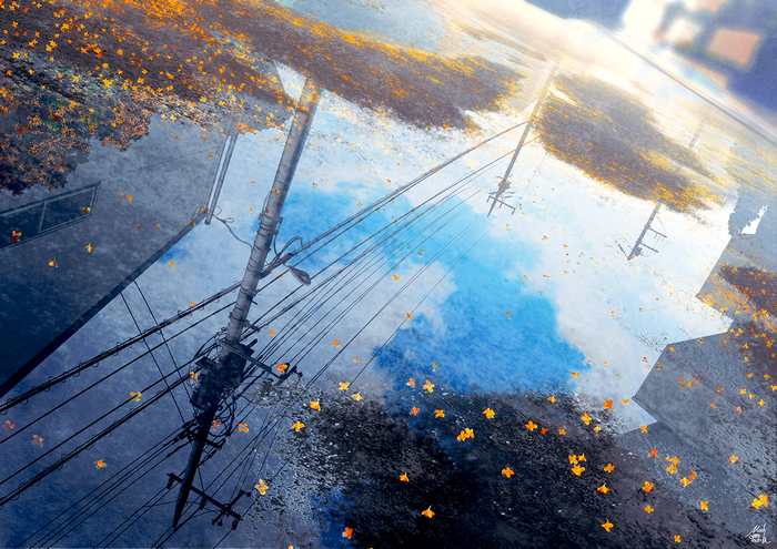 Reflection of telephone poles and autumn leaves in a puddle